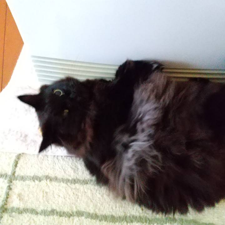 24fdcf63 ef35 4758 8a24 abff8e2fcc61 1610318776883