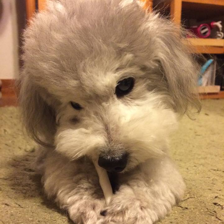 24fe5d10 1f48 4944 8253 04784c5cbc4d 1510096576759