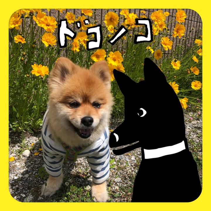 24fe6193 bfba 4c86 ad51 e78d9720d9dc 1622866618449