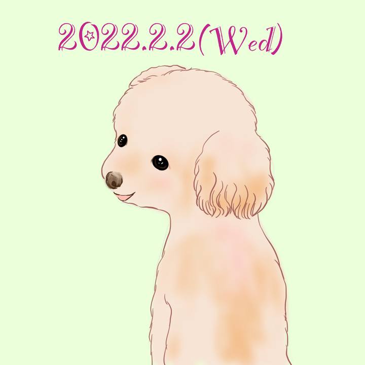24fe8f6b 98e5 4674 91ce 63e4c17d342b 1643803712880