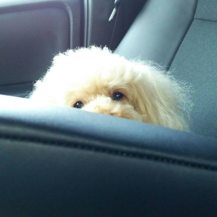 24feb6a0 195f 4889 b181 a9d9c7233930 1528026800831