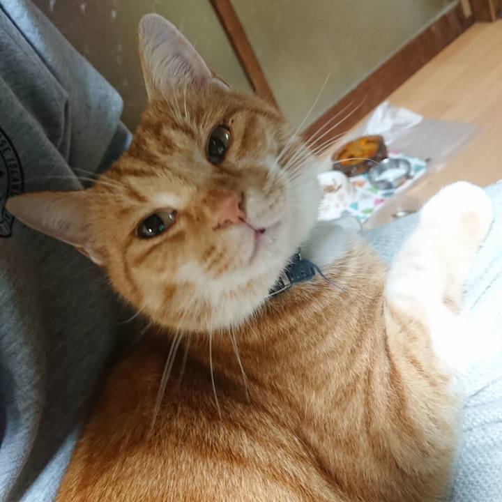 24fec3b1 f862 4556 bcee ce82c07fe696 1605869998291