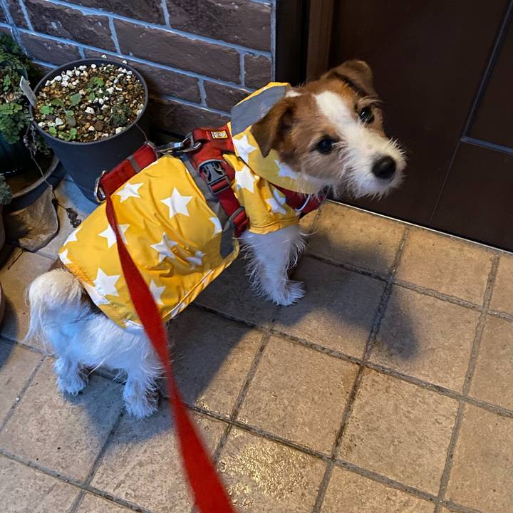 24feccef 2fde 4695 a575 17aac3d6d90c 1742035050690