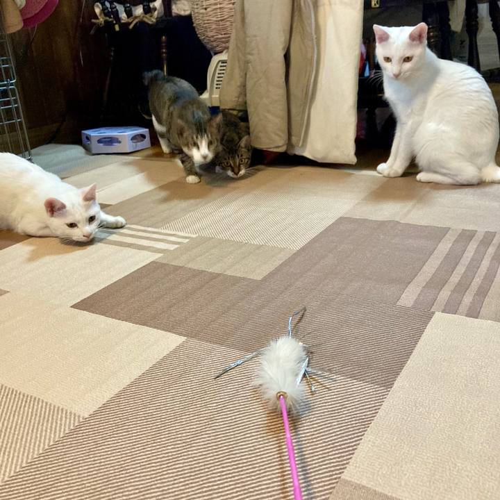 24ff0678 de92 4172 a3ee 5927c0e23927 1706316120438