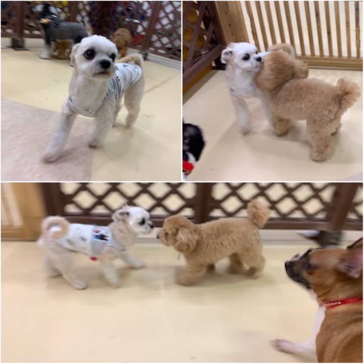 24ff097d fe53 4598 b5fd c37bc0b9df95 1571223058983