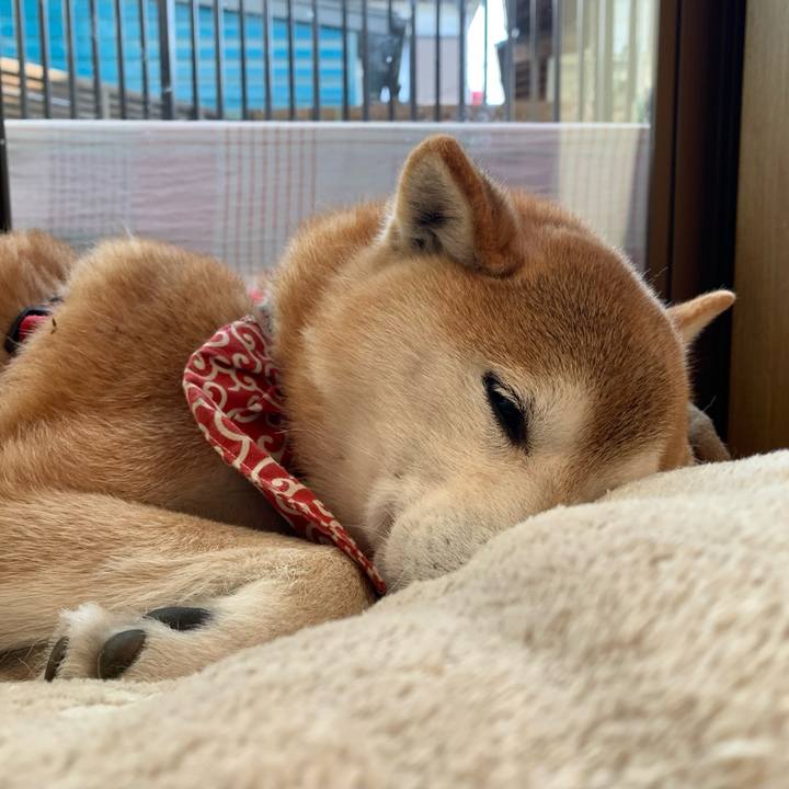 24ffac18 22ea 4468 93c3 ab8493a4e678 1644750516851