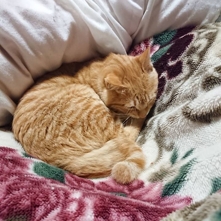 24ffaf96 c54c 49b9 a98c 49af3d4dffe3 1638706599514