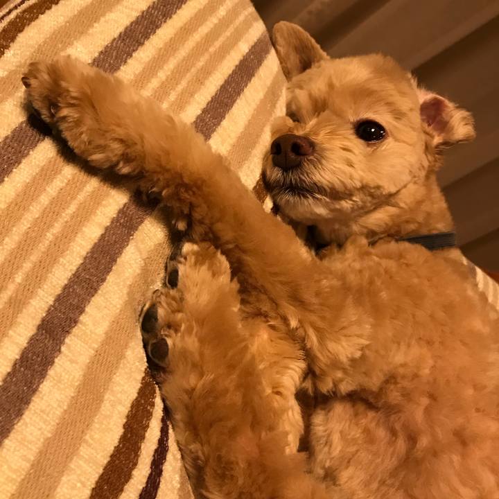 24ffbbd6 0fa0 4921 a8c7 7457ab370318 1536566930852