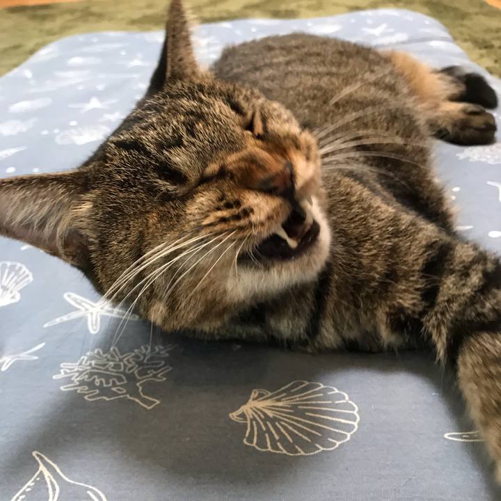 24fff67d 1e89 42e6 9a27 cca54eeadcd6 1565943260579