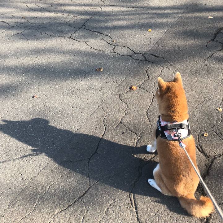 25001436 fbc5 40b8 856d 532dc3b3ec48 1539645088087