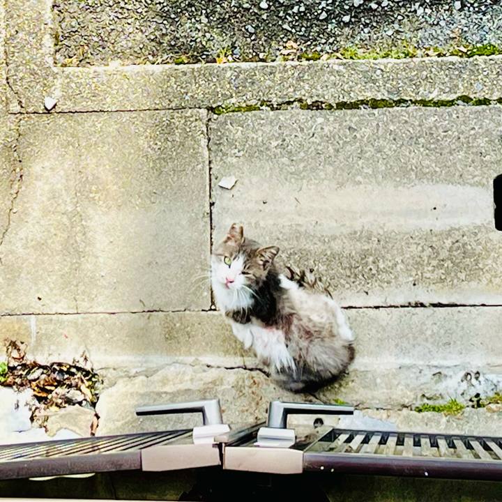 25003dd8 2bac 4ac5 8566 b3bb57a9e985 1770183000849