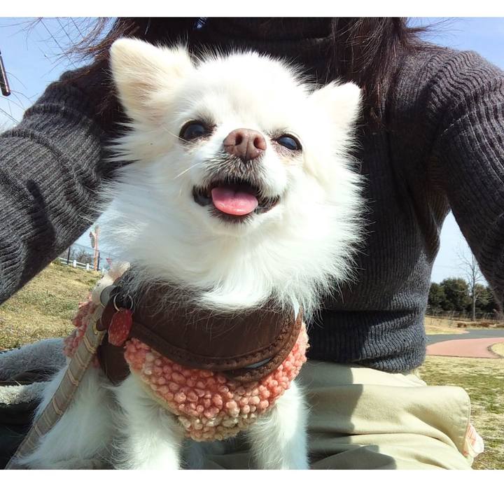 25004799 eb4e 4e94 adae 8b13614d7c91 1678010805036