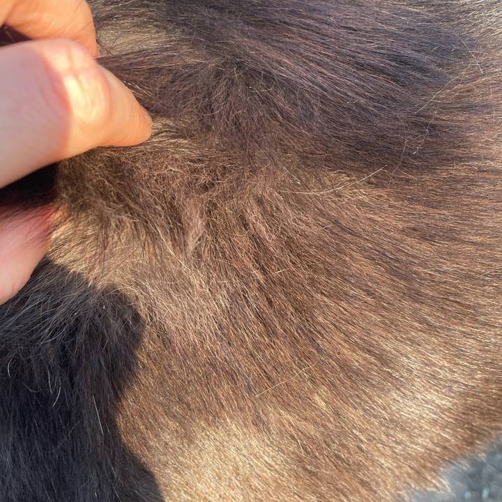 25004c30 9f33 4c03 a486 417a3d516a35 1714812113248