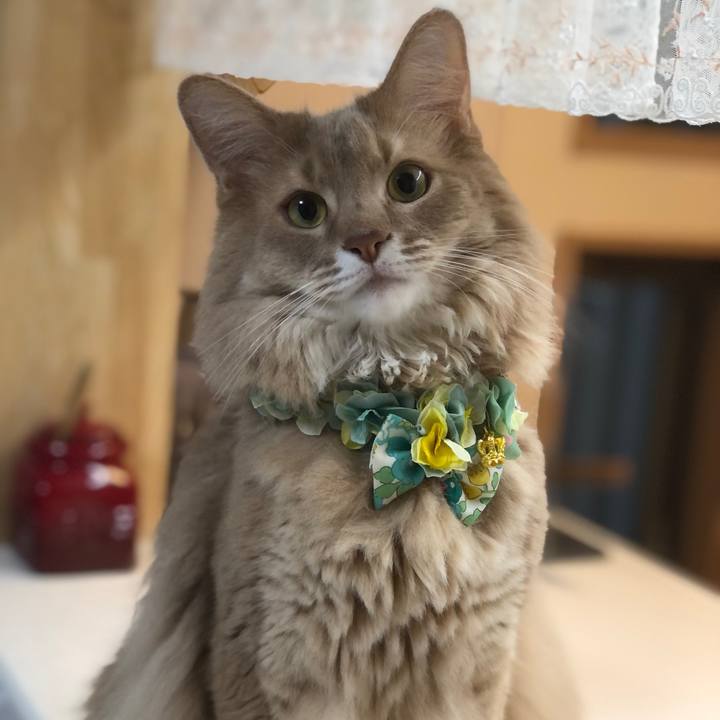 250081b4 5da4 41b6 81d4 91172cdec794 1659790723652