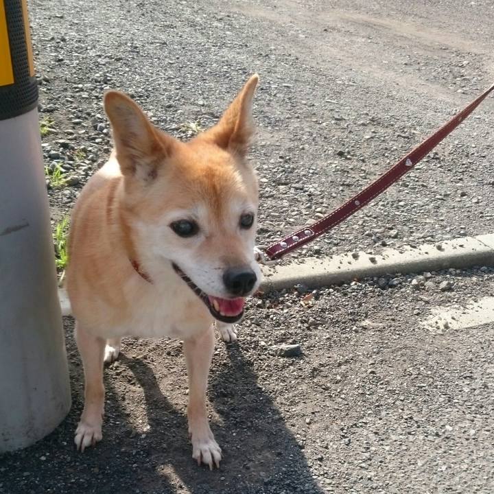 25008ebd 4511 4b26 9b2f c43f552c57ec 1510382987815