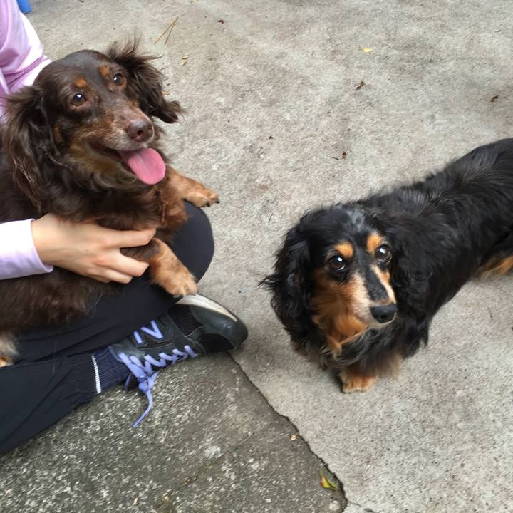 2500bec6 0315 47d4 9ff2 dd358fa8678f 1561697585651