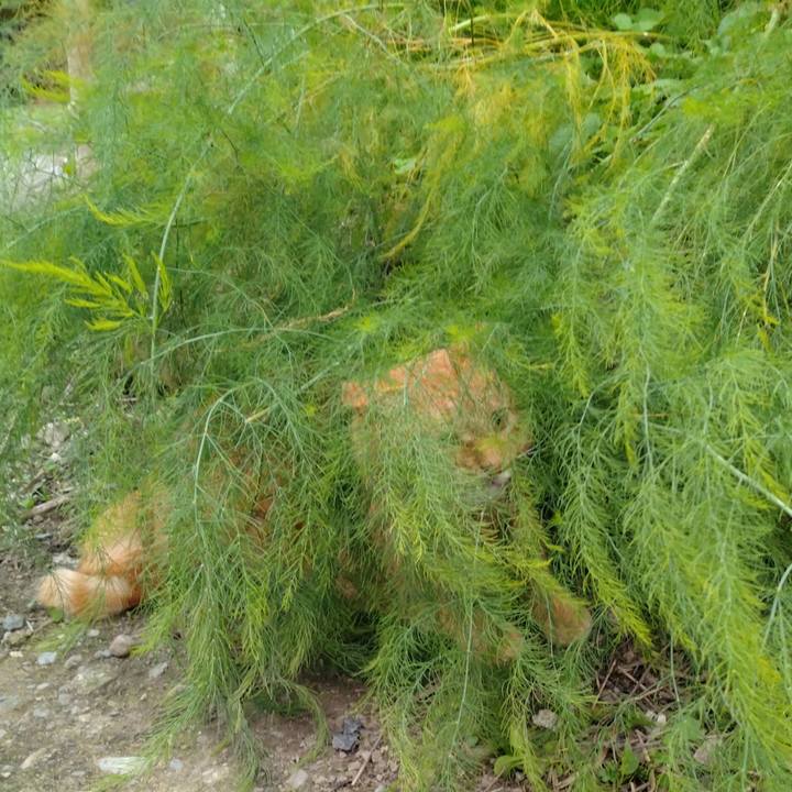 2500f1ce 1126 4692 bdfb 5c85f038025e 1664787104503