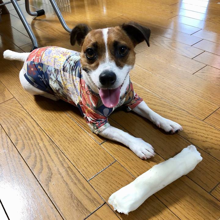 25013470 ad4f 44e7 a45b 2de4f4d28751 1595743703572