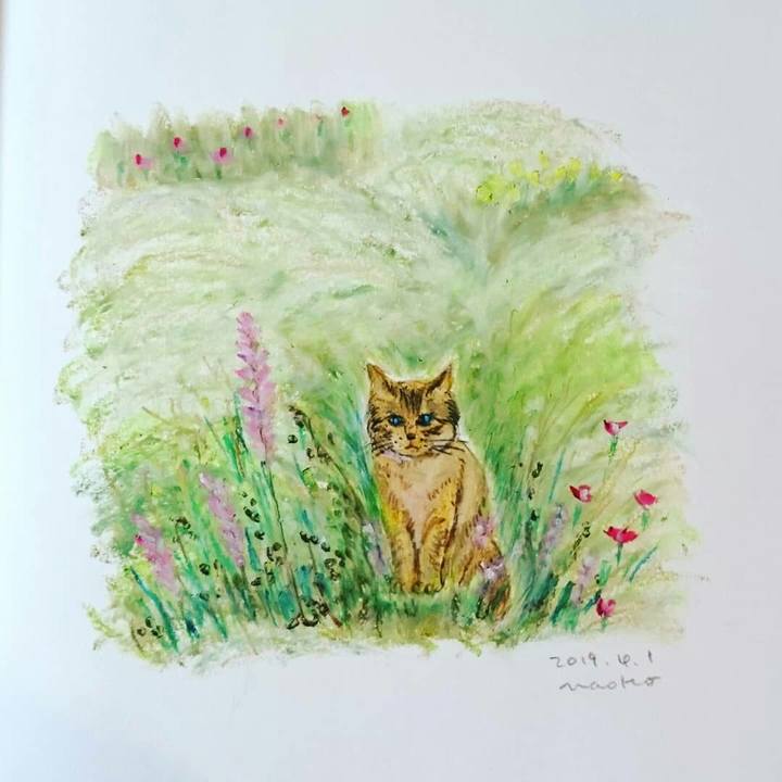 25015cf2 df18 48f0 8f19 a59d176526b6 1554122745164