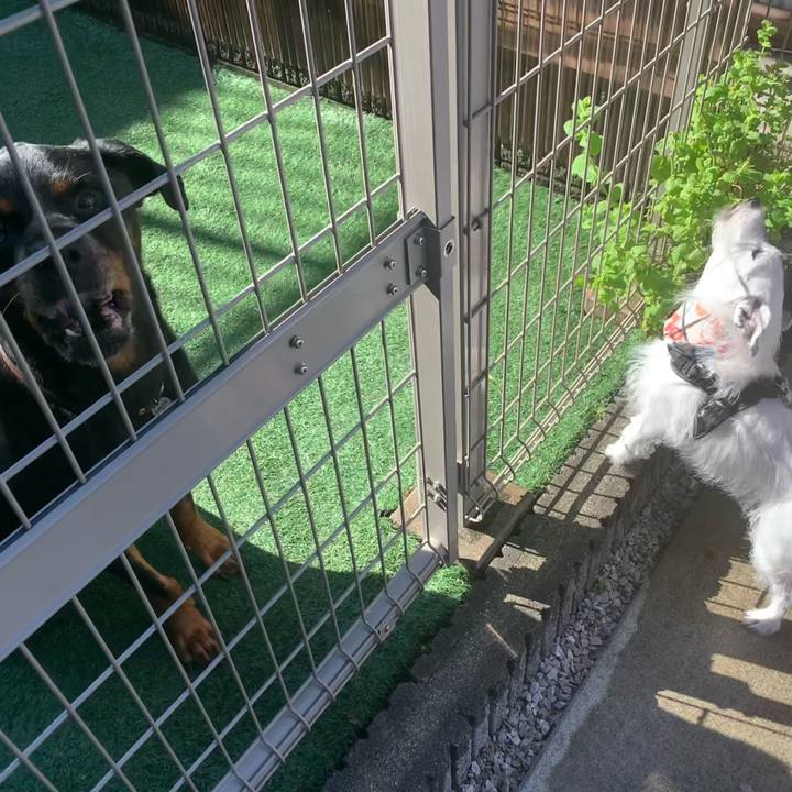 25016ea0 6df1 47e4 aab5 37271d40986c 1753053922740