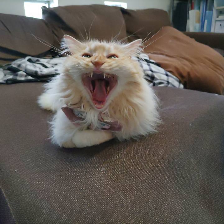 250184ab 90a2 4fe3 96db 080d7f288ed8 1718254544114