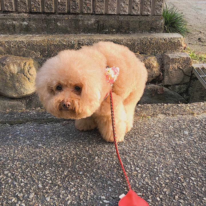 25019906 e1ec 42a3 b8bb 9876e27fa7fe 1569324460829