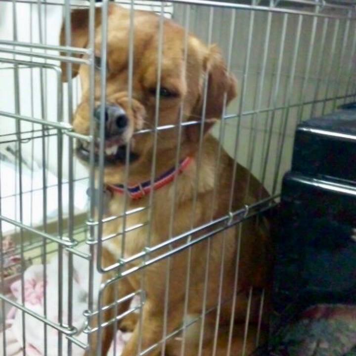 2501dd53 4605 4b1c 88d0 513f4ce3554b 1517156771908