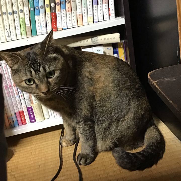 2501e79f d2e9 4c9e 9485 7f1cf669d64d 1730019936280