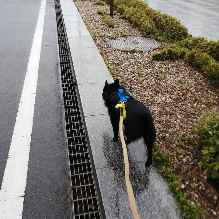 2501f778 b61a 4647 95ab 18c38dde7070 1636414115589