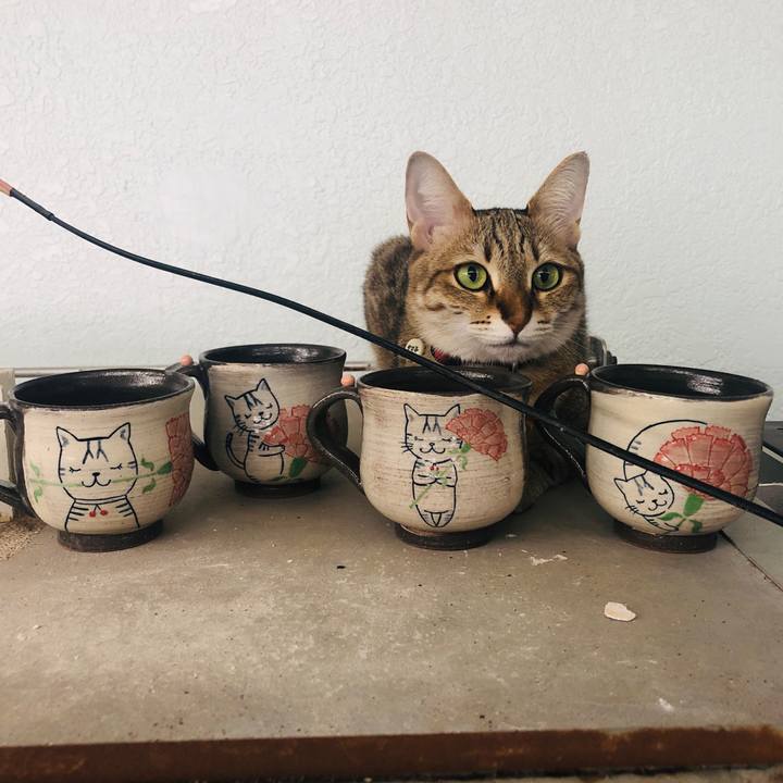 2501fb1e 4f58 4b5c aecc 54490383137d 1651808177184