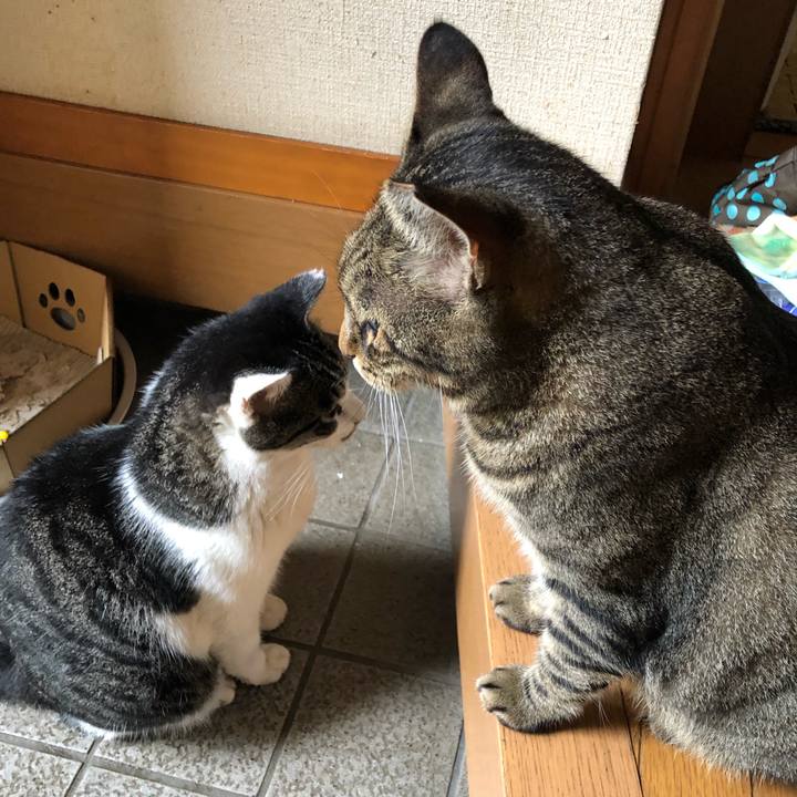 250206f8 063a 48b2 830e 72b4a6346cc0 1567989014589