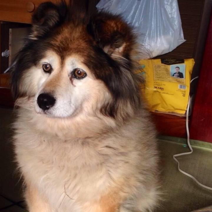 25020e91 6019 4660 ac86 64c273305a5e 1574237402983