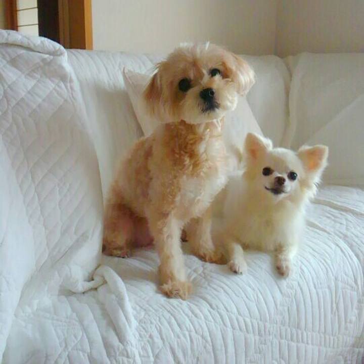 2502181a 8b55 46c4 9f43 9b4b68fe4809 1534202420053