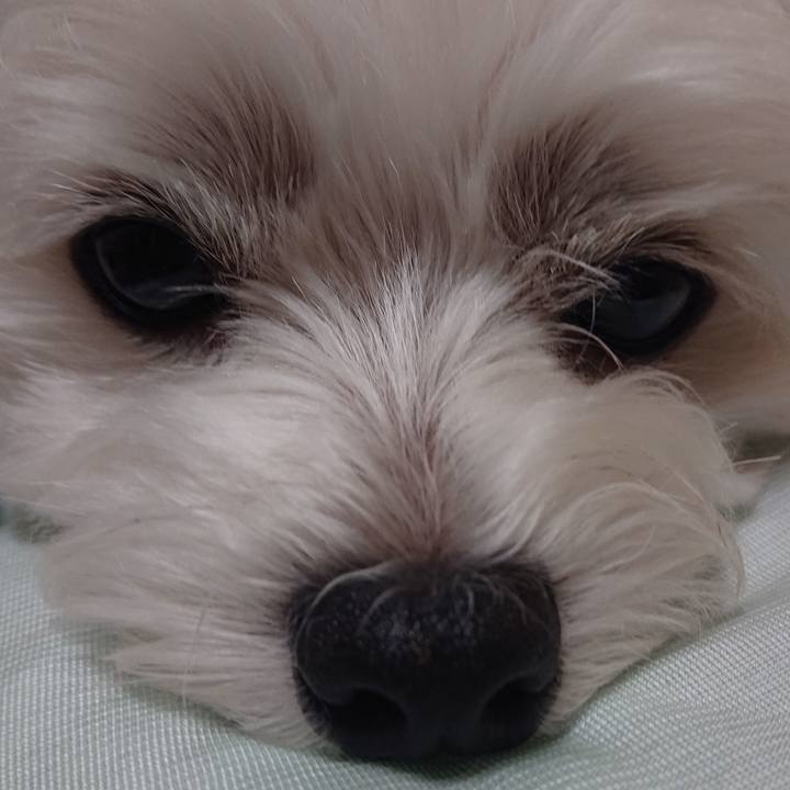 25021f07 0710 42d1 8e2a 309cc0e0cc21 1533988465550