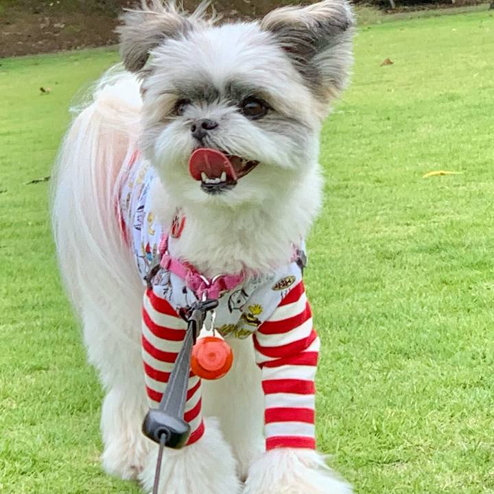 250245d3 13f5 4e49 95ea 58879ad1da97 1623907949294