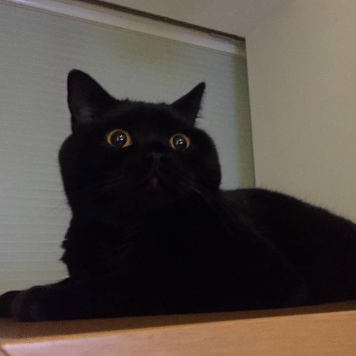 2502785f e1a3 436c a42e 93af1e7c1215 1568983316372