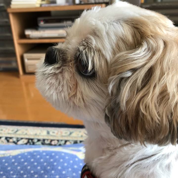 25028349 de43 499c a204 2bad74e19db6 1565128154859