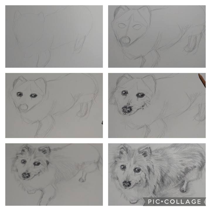 2502dc83 2e2d 45e7 bb34 455896aa9e4f 1645627360383