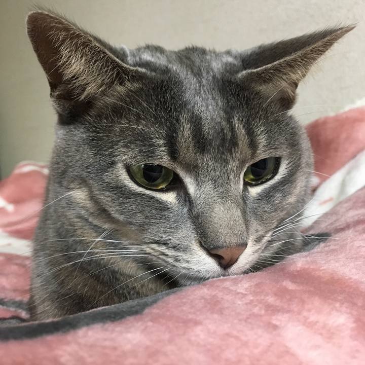 25030d42 3c0e 418c b7c1 b6a540352def 1574427257350