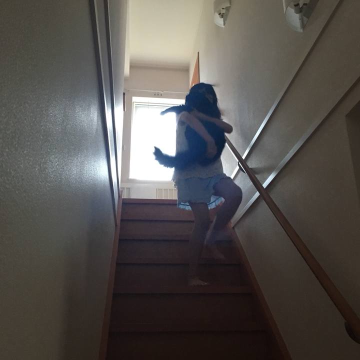 2503164d 7534 4af8 9f66 d776d5102f01 1533855713725