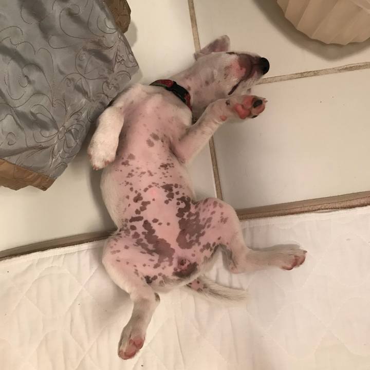 250369be fe4e 487c 82a1 5cd35c0122f8 1532658147045