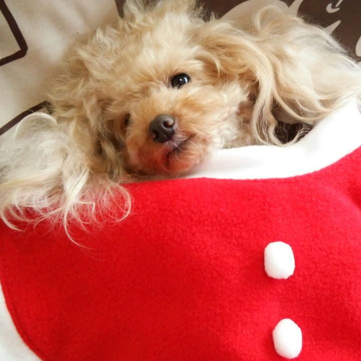 2503a0ee 4406 4603 95fe e91cce6216ac 1541057223808