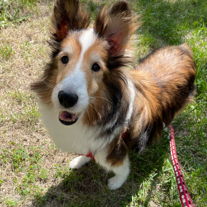 2503ce9a 5f65 4f3b bfa3 589638cd2237 1629198611304