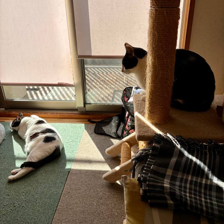 2503fa91 ab33 4e68 9a0b 6eef00d3c94b 1766984244332