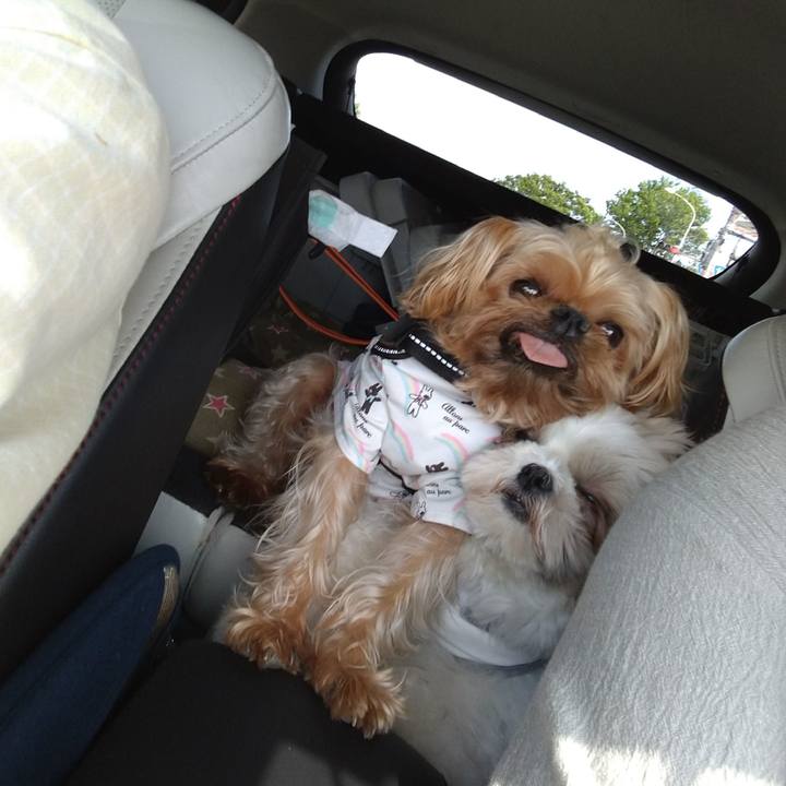 2504122a c5f3 4271 ab14 d238c8361b51 1618722415423