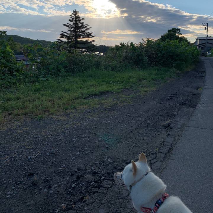 25041337 7f73 42ca 986e 17341a1899e6 1559336743017