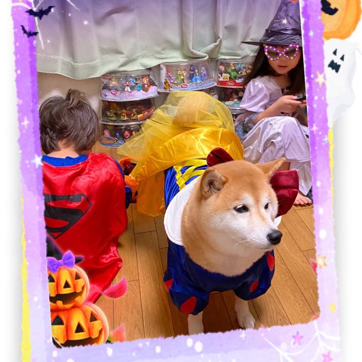 25041e77 bf45 4f7d 841e a8914e58fff3 1635647499476