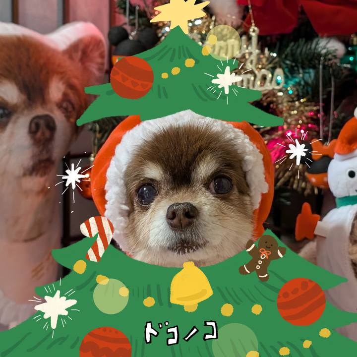 2504270a 5b28 4d64 b120 0fcf8021e38b 1761258066613