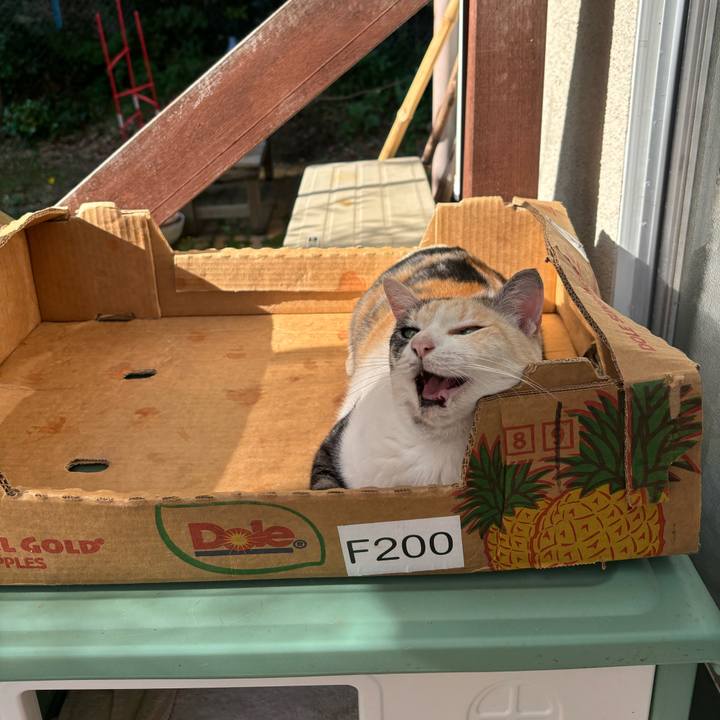 250442a5 6c96 4769 ae37 621914e8ac68 1697416403974