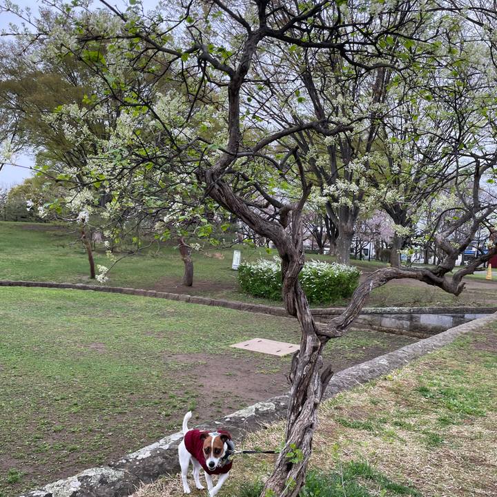 25045678 b2ab 46c3 b06f fcabe087129d 1650019339996